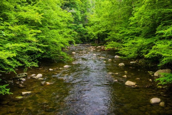 Environmental Engineering